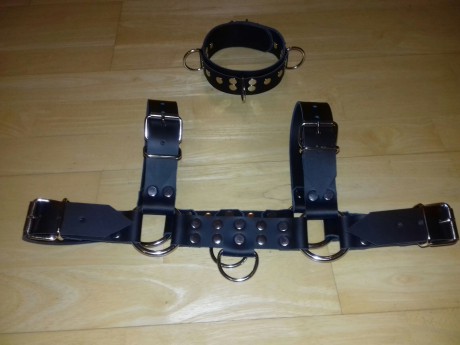 11.harness s  D kroužkem 