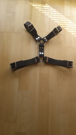 6.harness  Y