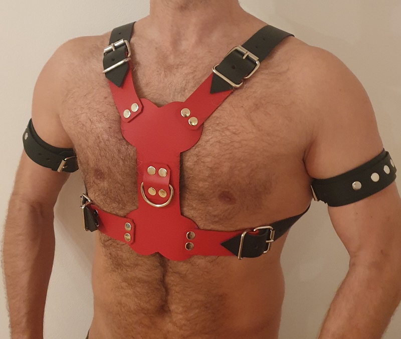 Harness DOG 1