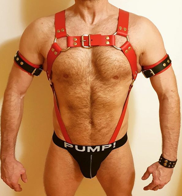 harness